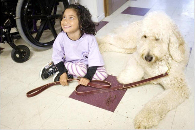 Scotus to Hear Case Regarding Service Dog Being Allowed in School
