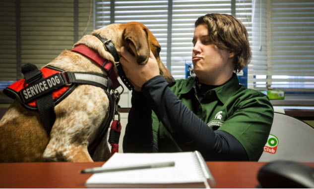 can a service dog live with another dog