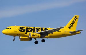 spirit airlines service animal