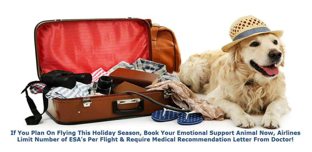 Flying with Emotional Support Dog | USA Service Dog Registration