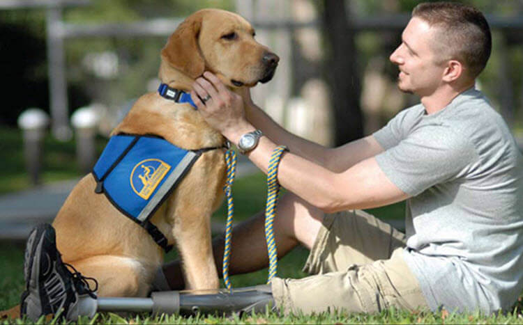 can anyone register their dog as a service dog