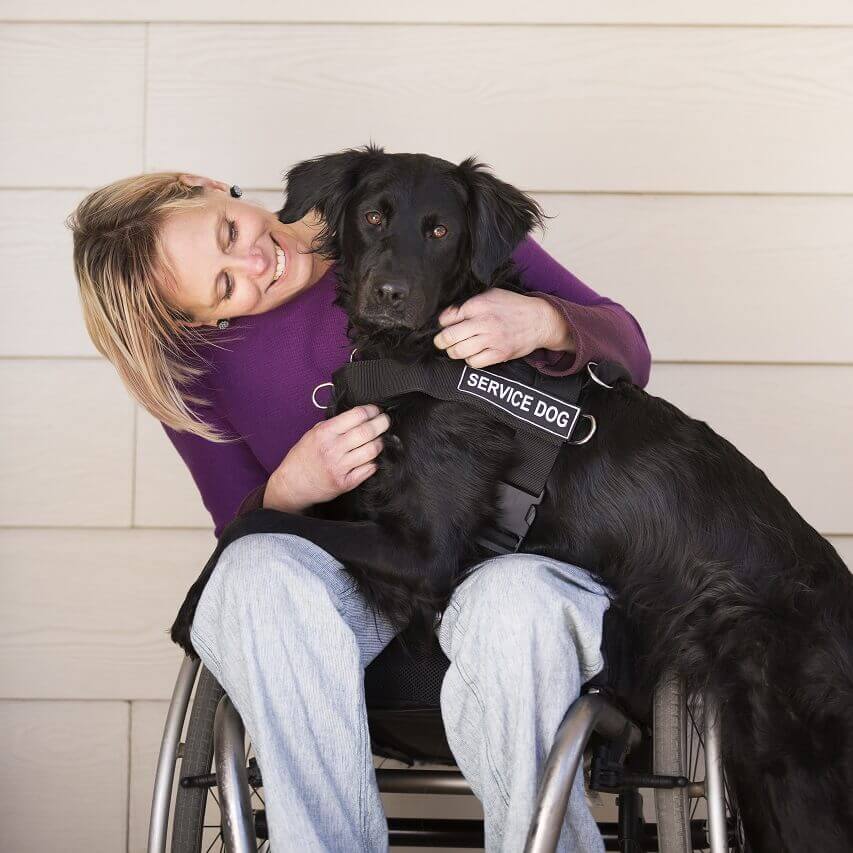 Ada assistance dog store registry