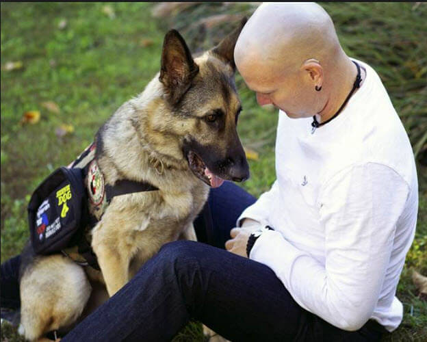 German Shepherd large service dog wearing tactical vest with his handler sitting in greass