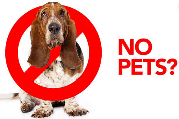 No Pet Policy Know Your Rights!