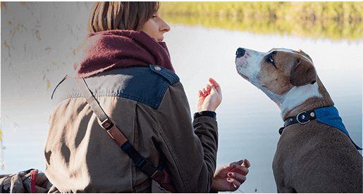 Free Service Dog Registration | Free Emotional Support Dog Registration