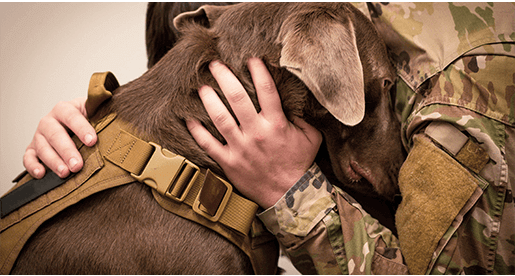 Service Dog Comforting soldier