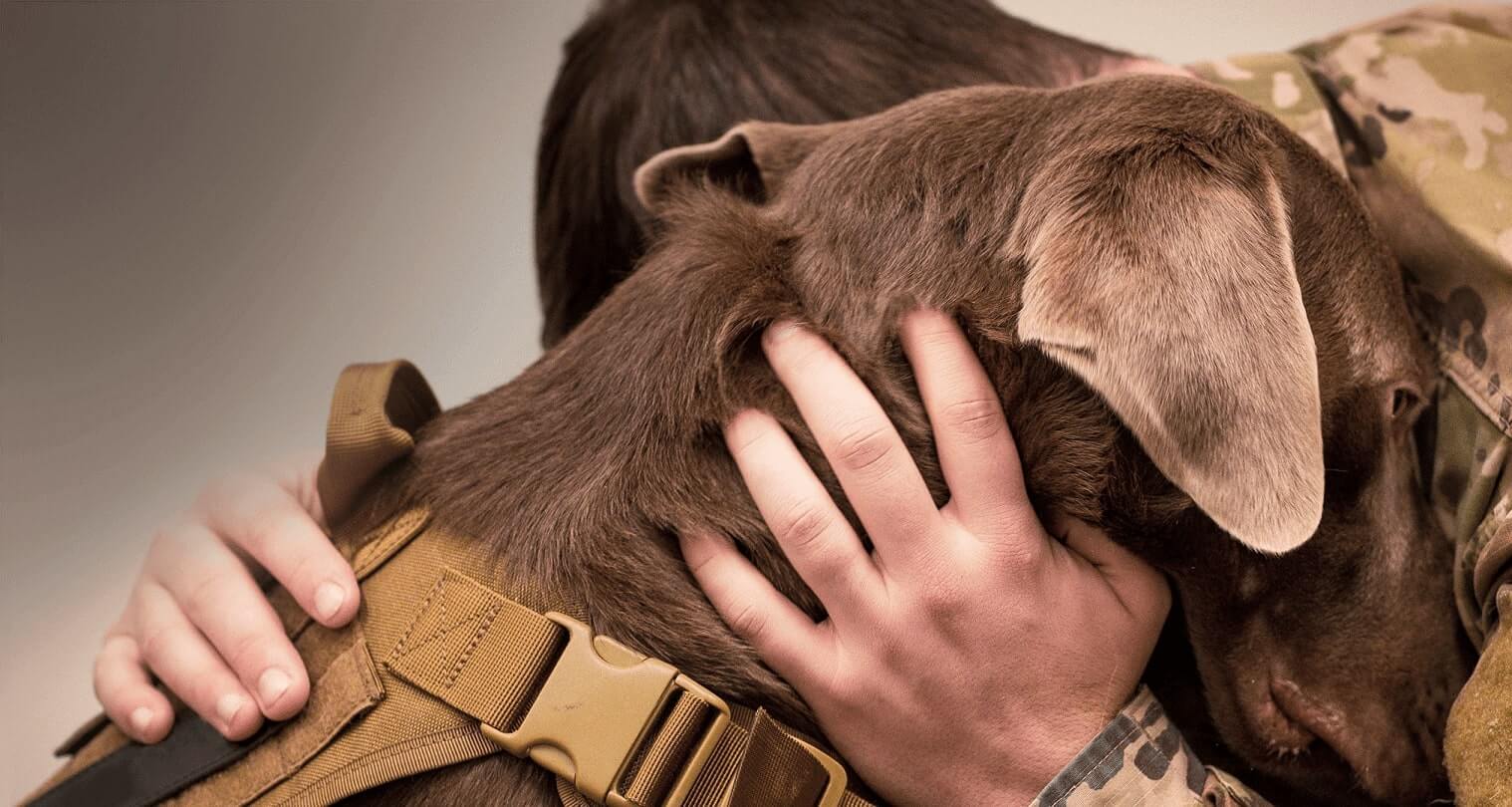 Register your Service Animal in 3 Easy Steps