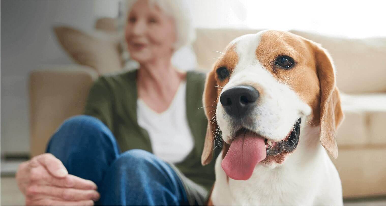 Service Dog Registration | Emotional Support Dog | Therapy Dog