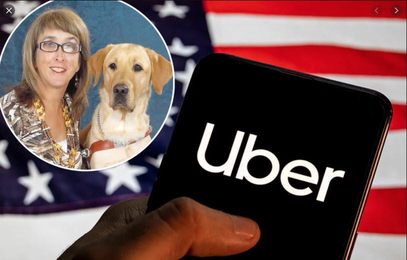 Uber Ordered to Pay $1.1 Million For Refusing Service Dog