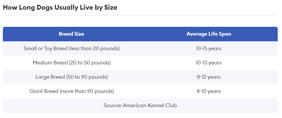 how long dogs live chart