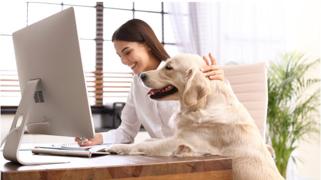 Can I Bring My Emotional Support Animal to Work