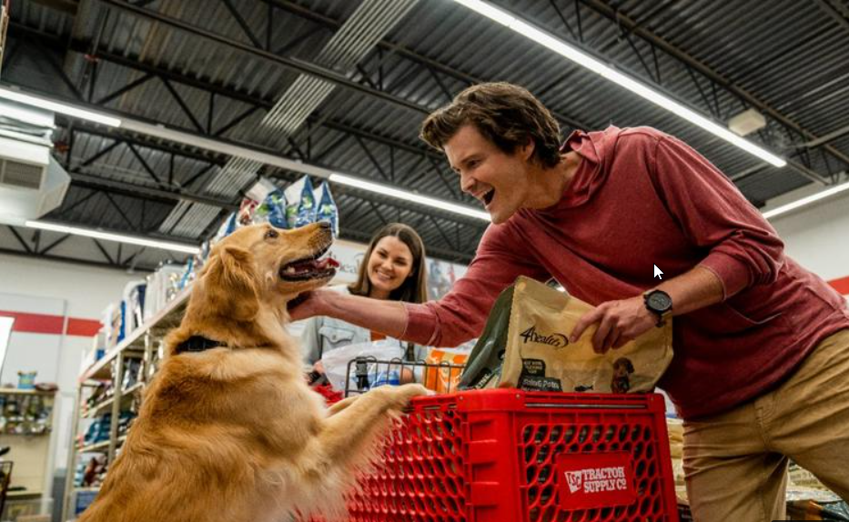 Dog Friendly Stores for Shopping