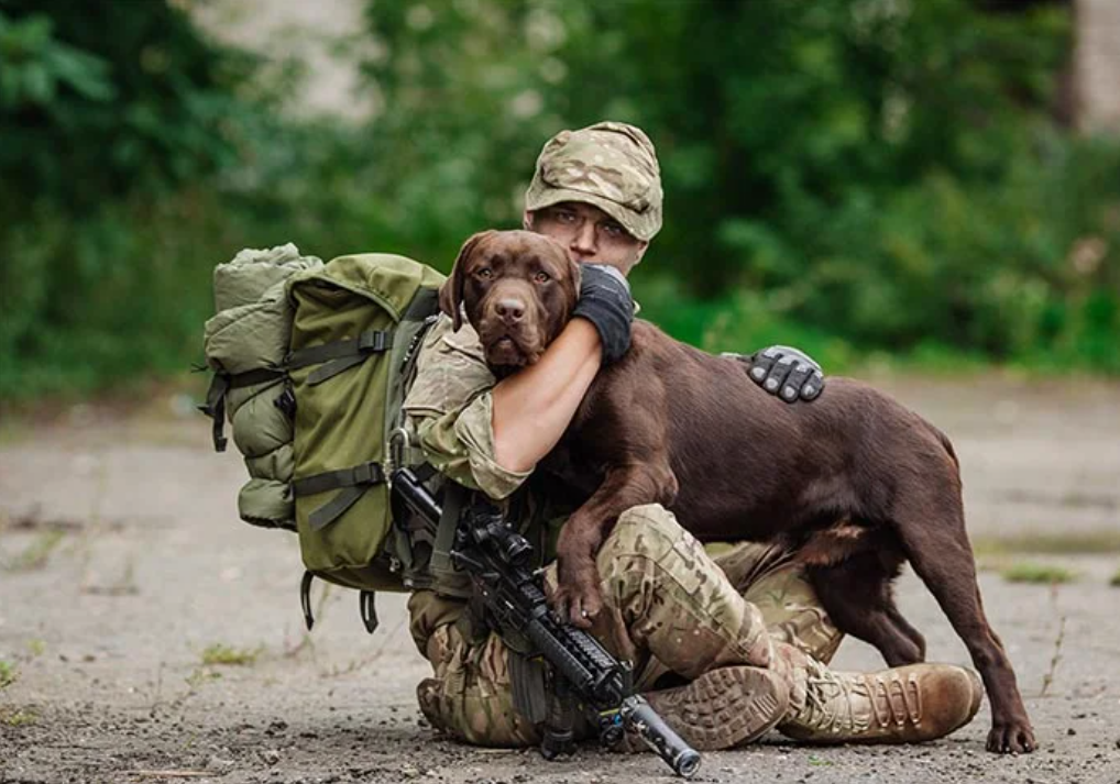The Rising Role of Service Dogs in PTSD Treatment