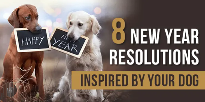 New Year Resolutions for My Dog and I