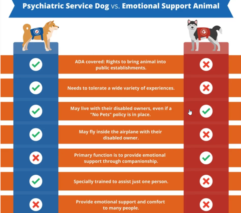Psychiatric Service Dog USA Service Dog Registration