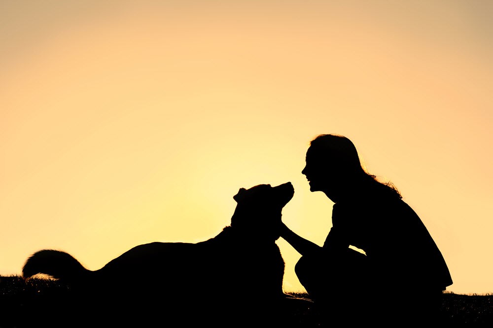 woman enjoying sunset with her dog
