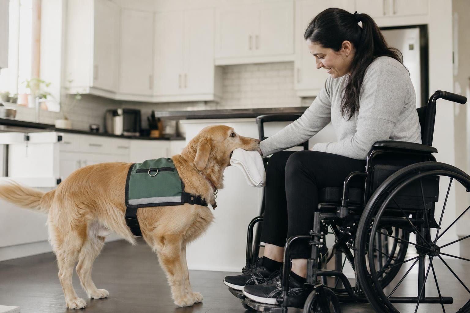 how to train your dog to be a service dog