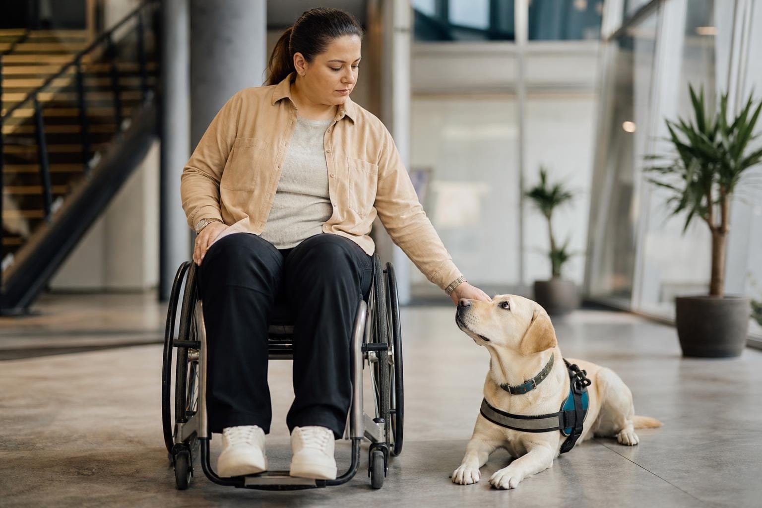 disabilities that qualify for a service dog